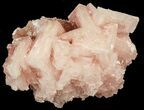 Pink Halite Crystal Plate - Trona, California #40554-2
